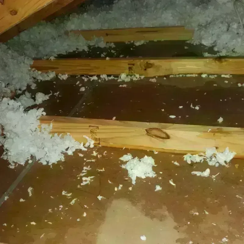 Attic Water Damage in Three Rivers, TX