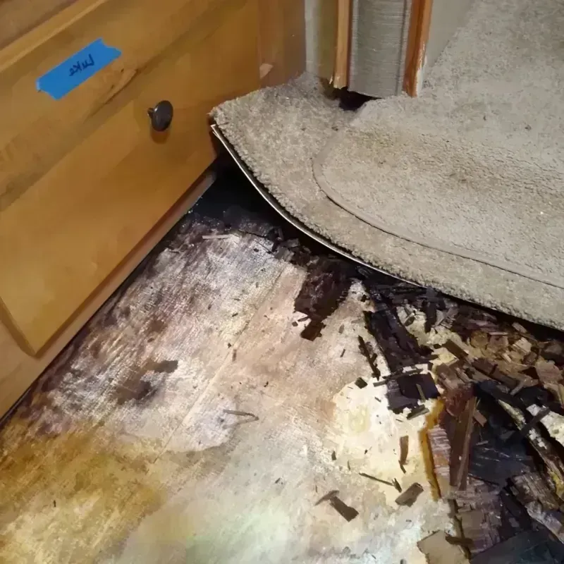 Best Wood Floor Water Damage Service in Three Rivers, TX